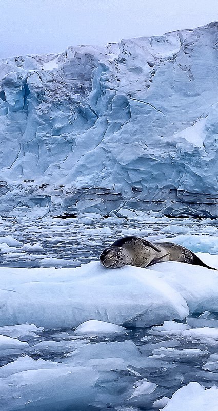 Wallpapers Glaciares de Chile - Imagen 13