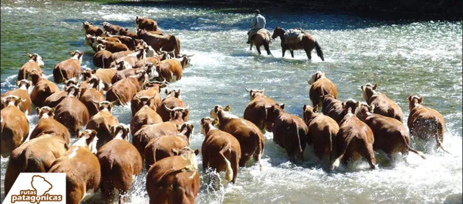 Arrieros-Patagonia