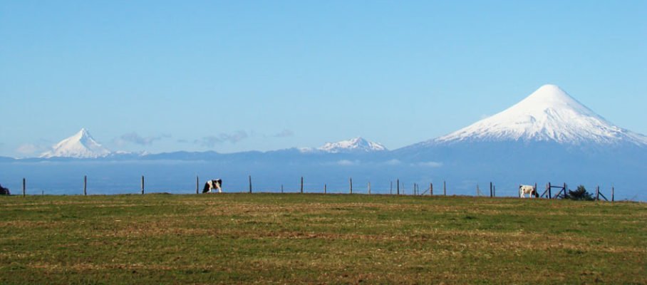 Osorno