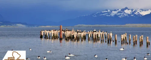 PuertoNatales2