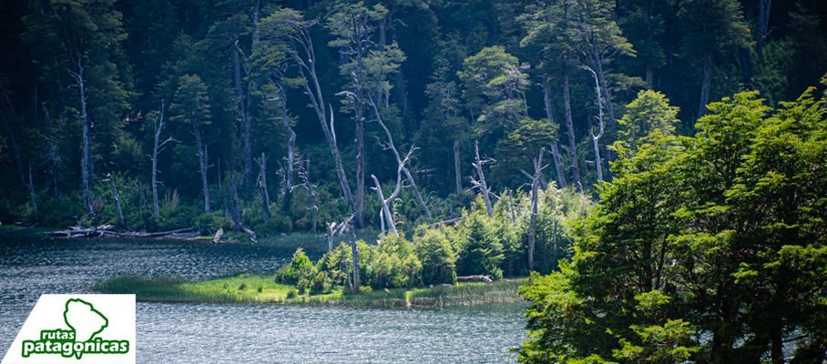 Pucon-LagunaSanJorge