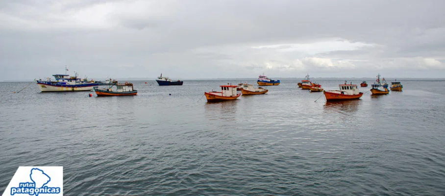 Carelmapu